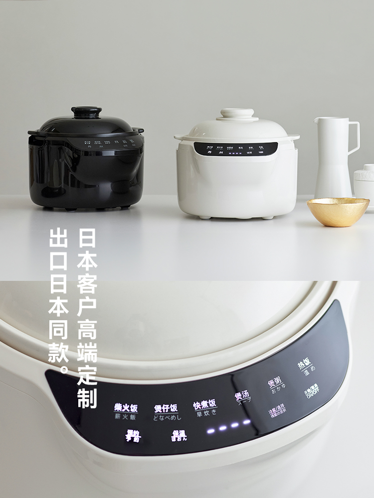 Olayks 220V 3L fornello di ris - Kitchen Appliances Japan recensione e prezzo